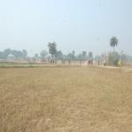 Vraj-Yatra-2014- (1351)